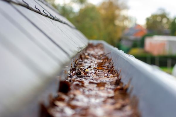 Commercial Gutter Cleaning in Northville