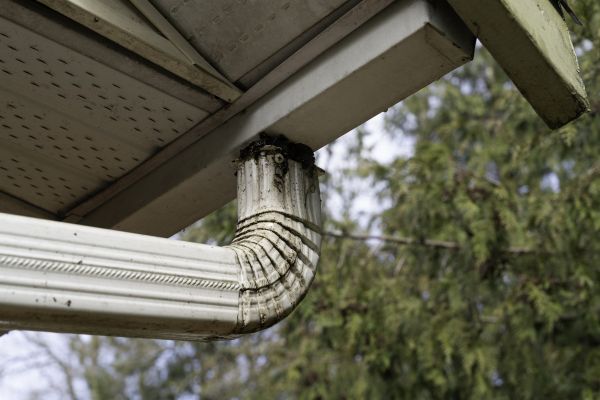 Downspout Cleaning in Northville