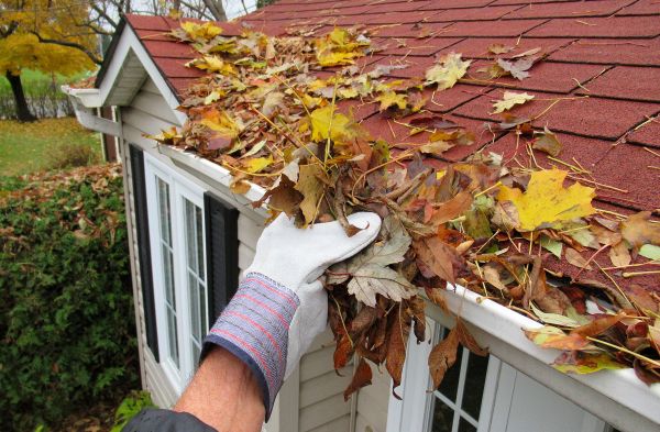 Rain Gutter Cleaning Service in Northville