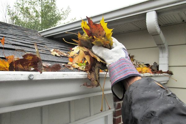 Leaf Gutter Cleaning in Northville