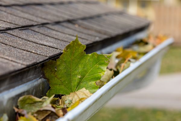 Commercial Downspout Cleaning in Northville