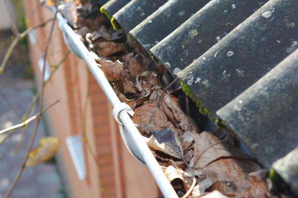 Home Gutter Cleaning in Northville