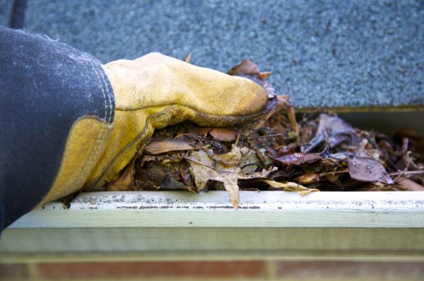 Cost of Jammed Gutter Cleaning in Northville