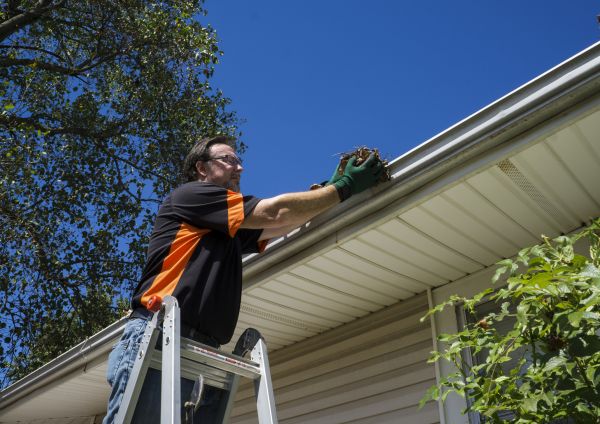 Cost of Eavestrough Clearing in Northville