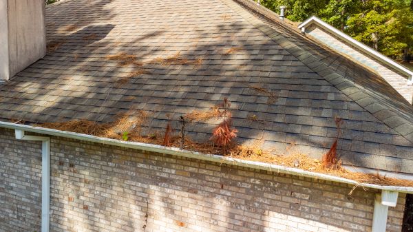 Cost of Gutter Pine Needle Removal in Northville